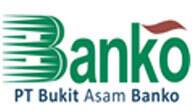 PT Bukit Asam Banko
