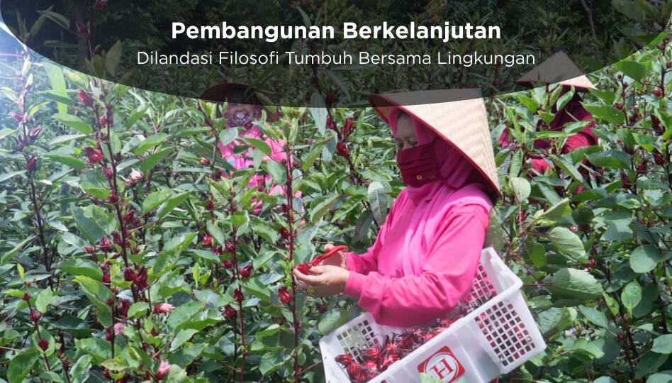 Pembangunan Berkelanjutan Baru
