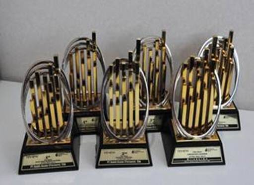 PTBA Mendapat Anugerah Business Awards 2014
