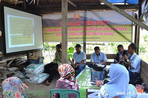 PTBA Adakan Pembinaan Sistem Pertanian Terintegrasi