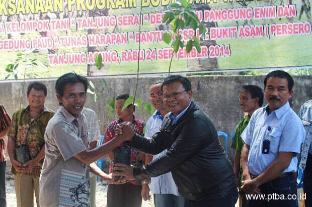 PTBA Bina Kelompok Tani â€œTanjung Seraiâ€ Desa Pulau Panggungenim