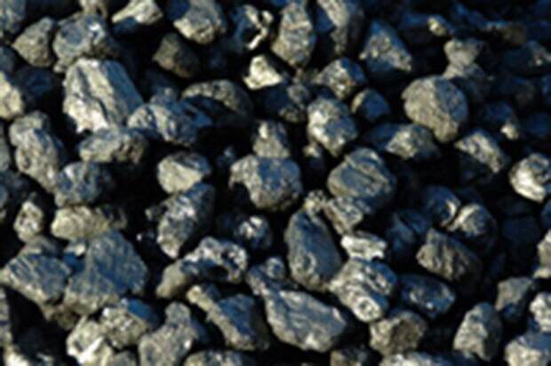 Batu bara berasal dari daerah
