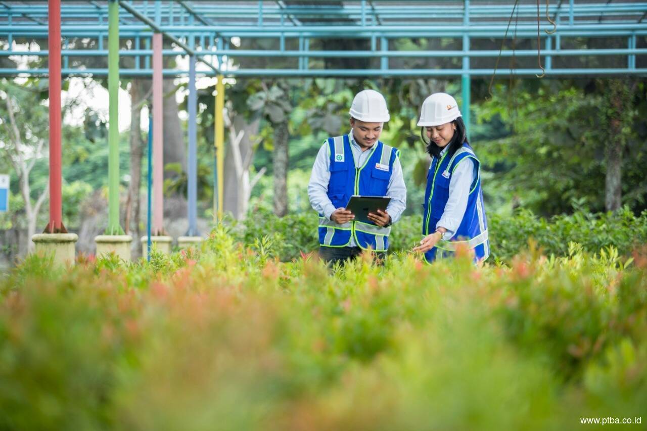 Kerja Sama dengan CDP, PTBA Dukung Program Net Zero Karbon RI