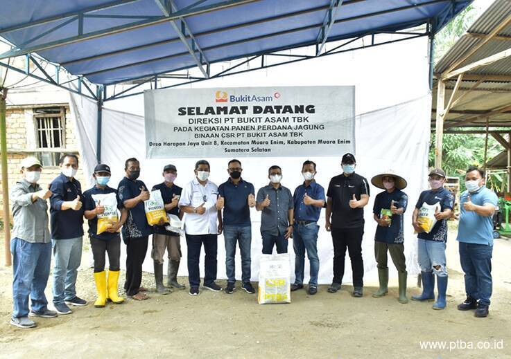 Panen Jagung Desa Harapan Jaya