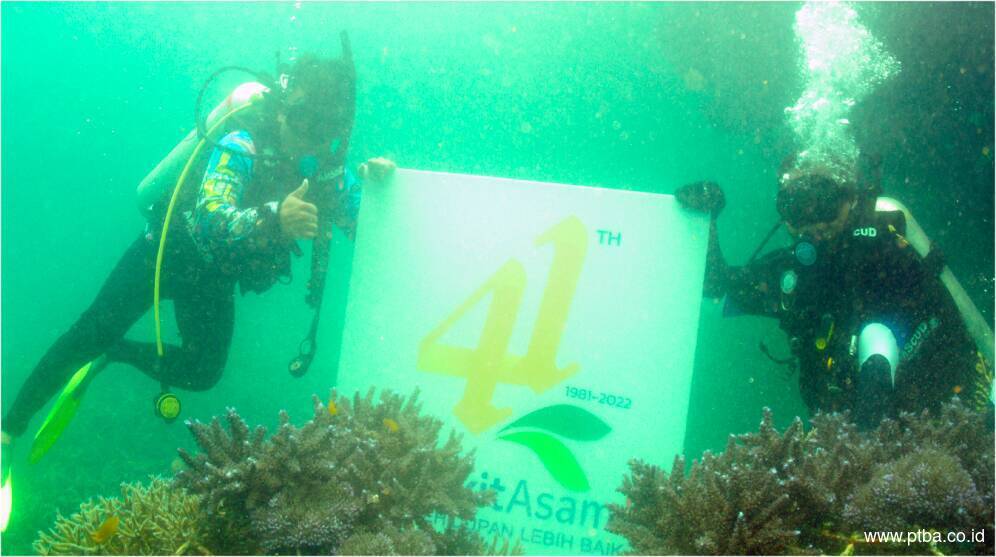 Jaga Ekosistem Laut, Bukit Asam Tanam Terumbu Karang