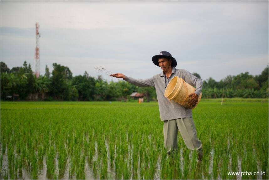 Kembangkan Inovasi Pangan, Bukit Asam Usung Program “Ruang Rural”