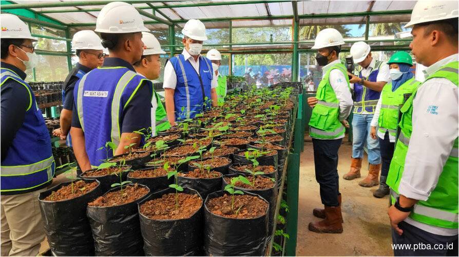 Jaga Lingkungan, Bukit Asam Bangun Botanical Garden di Lahan Bekas Tambang