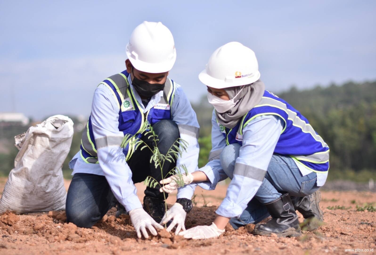 Per Juni 2022, Bukit Asam Sudah Tanam 1,33 Juta Pohon di Areal Reklamasi