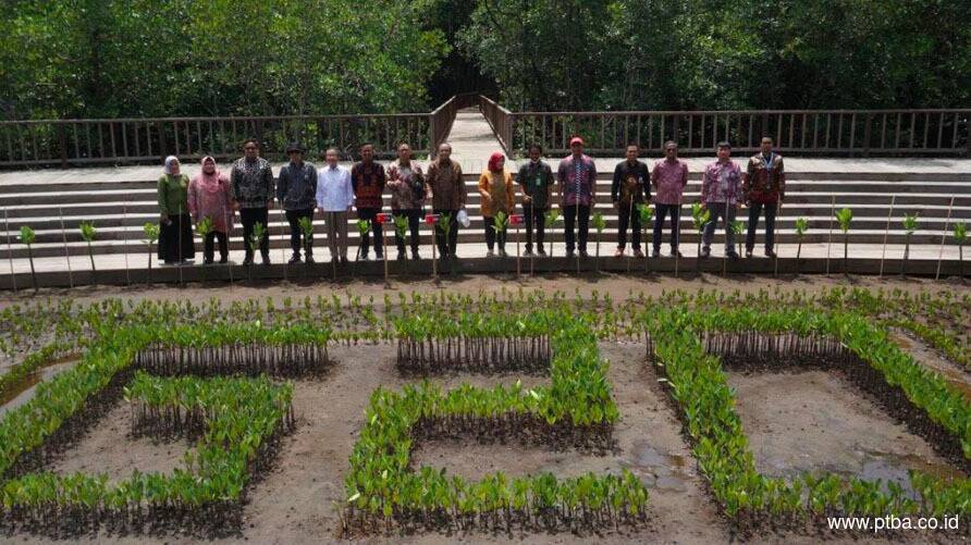 Bersama Pemerintah dan Swasta, PTBA Dukung Rehabilitasi Mangrove