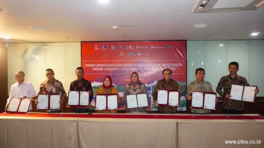 Bersama Pemerintah dan Swasta, PTBA Dukung Rehabilitasi Mangrove