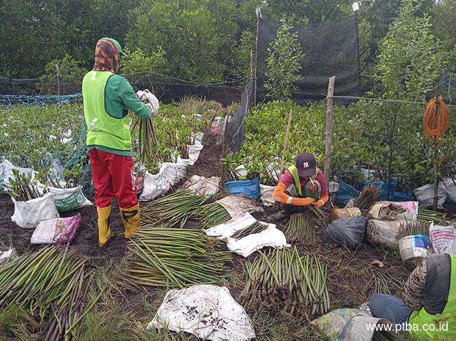 Jaga Lingkungan, PTBA Rehabilitasi Daerah Aliran Sungai 5.197 Hektar