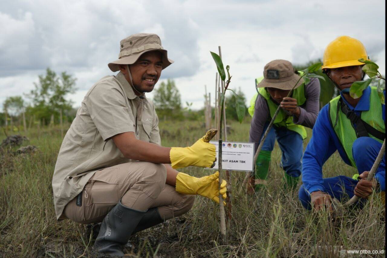 Kolaborasi PTBA-Pemerintah Lestarikan Habitat Burung dan Mangrove di Pulau Alanggantang