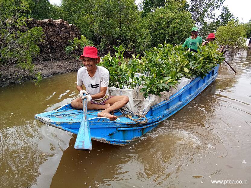 Dukung Rehabilitasi DAS dan Pariwisata, PTBA Perluas Pusat Persemaian