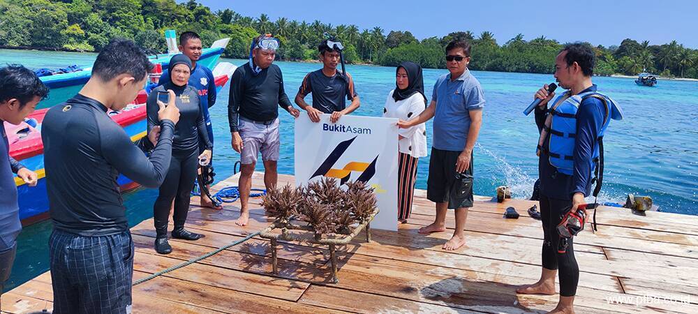 Bukit Asam Konservasi Terumbu Karang di Pulau Pahawang