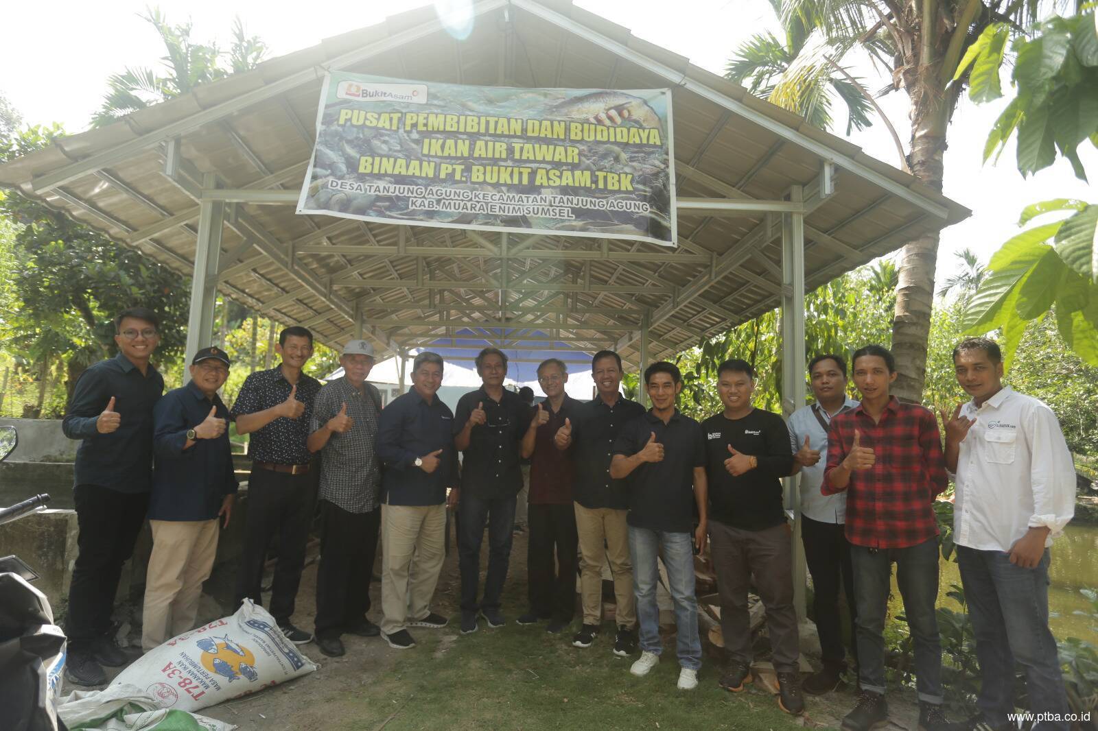 Bukit Asam Sejahterakan Petani Lewat Budidaya Beras Organik