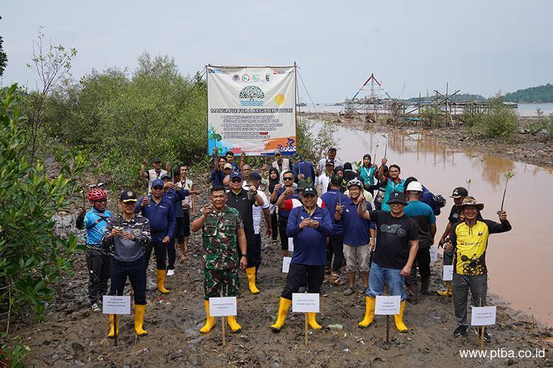 PTBA Tanam 50.000 Bibit Mangrove di Kawasan Ekowisata Cuku Nyi Nyi