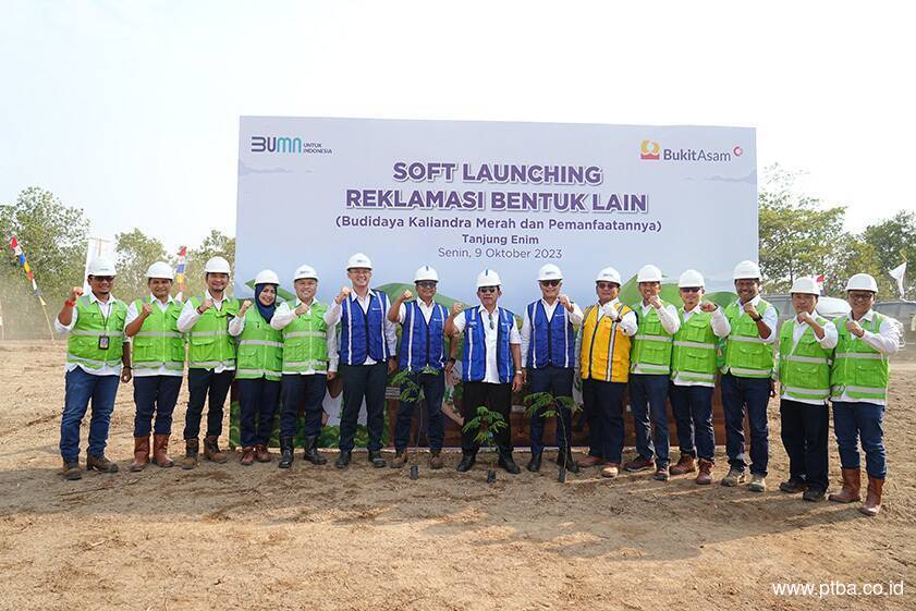 Bukit Asam (PTBA) Kembangkan Energi Biomassa dari Kaliandra Merah