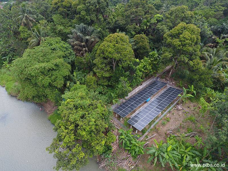 Ada PLTS Bukit Asam, Petani Tetap Garap Sawah Saat Kemarau Panjang