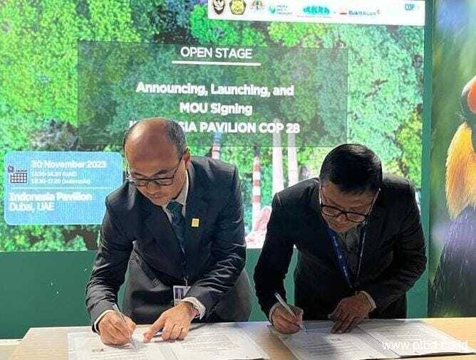 Sinergi BUMN di COP 28, PLN dan Bukit Asam (PTBA) Jajaki Pemanfaatan FABA