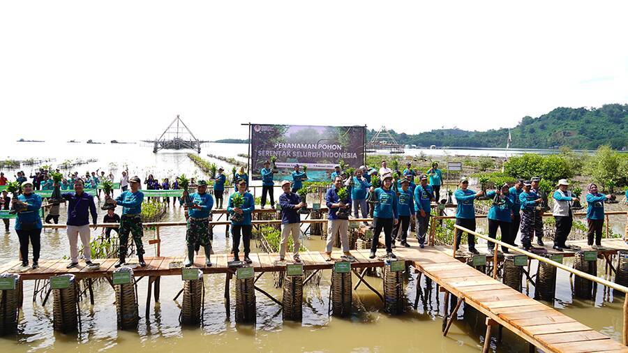 Hari Lahan Basah Sedunia, Bukit Asam (PTBA) Ikut Aksi Tanam Mangrove