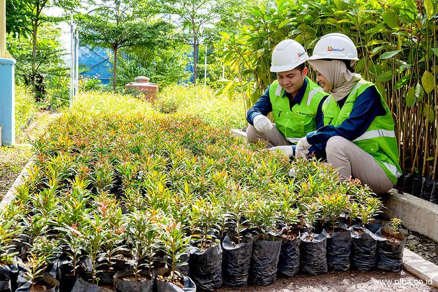 Bukit Asam (PTBA) Menuju Perusahaan Energi Kelas Dunia yang Peduli Lingkungan