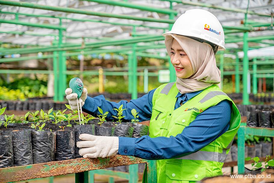 Bukit Asam (PTBA) Raih 2 Penghargaan Penurunan Emisi Korporasi Terbaik 2024