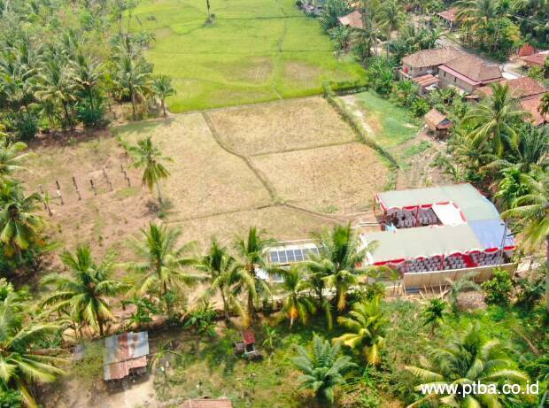 Kado HUT ke-79 RI untuk Petani, Bukit Asam (PTBA) Resmikan PLTS Irigasi di Tanjung Agung