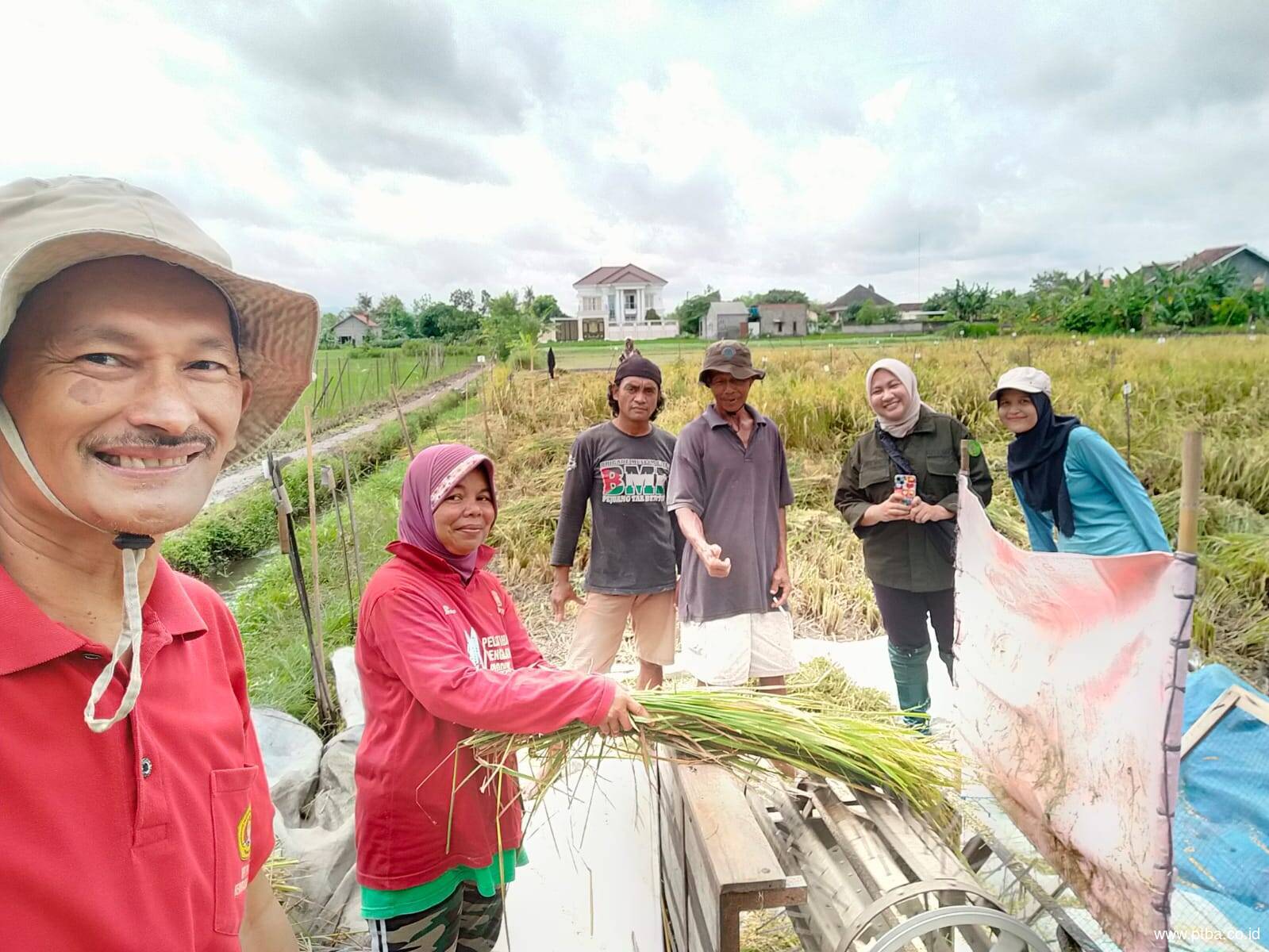Gandeng Perguruan Tinggi hingga Petani, Bukit Asam (PTBA) Kembangkan Inovasi Pertanian Berkelanjutan