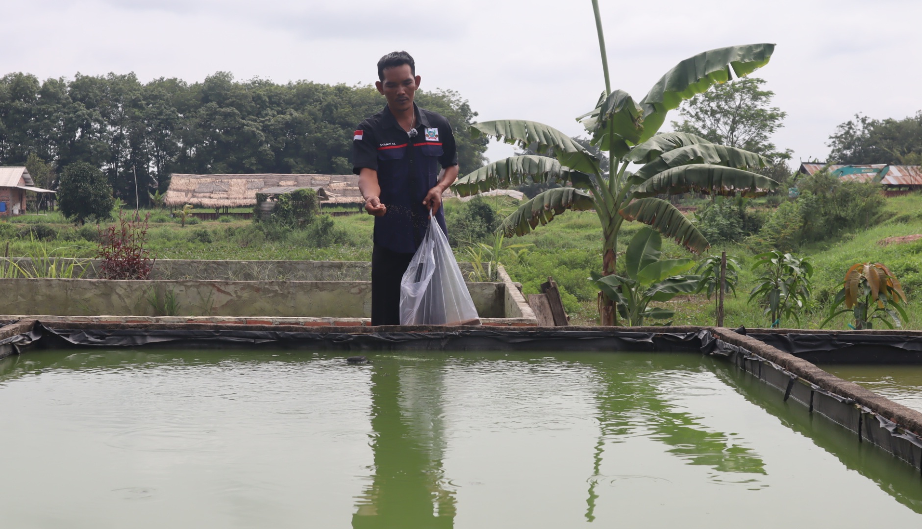 Bukit Asam’s Fostered Partners Profit from Fish Farming in Excavation Ponds
