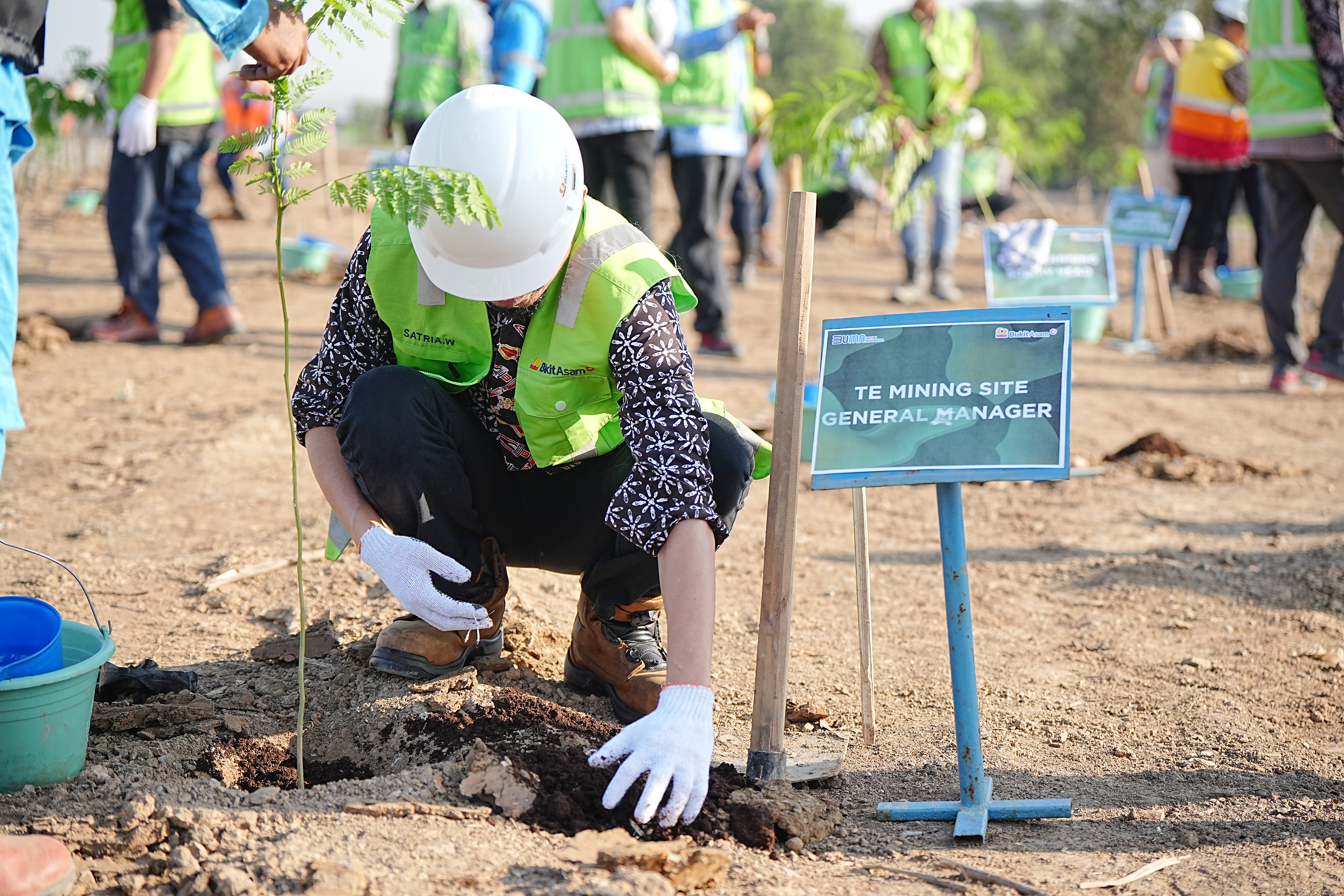 Green Mining, Bukit Asam (PTBA) Tanam Ratusan Pohon di Lahan Pascatambang