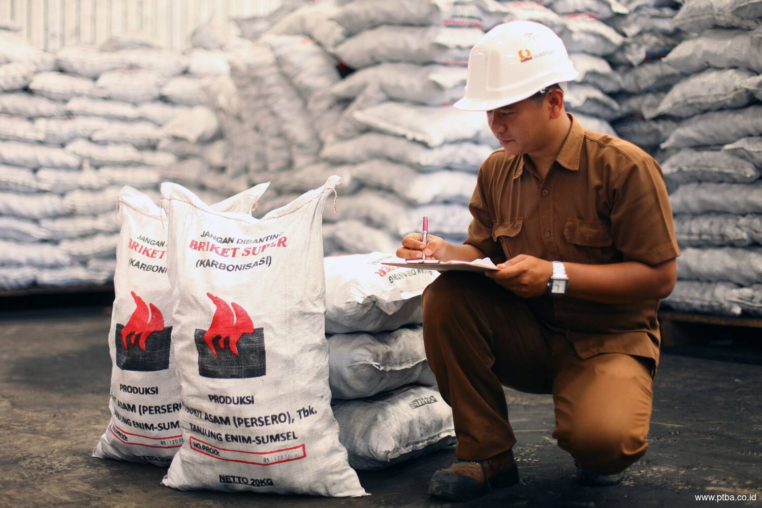 Pasar Jabodetabek Serap 60 Persen Briket Super Produksi Briket Tanjung Enim