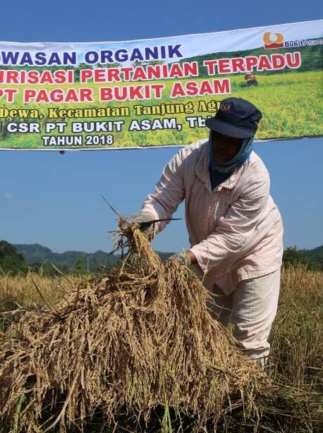 Circular Economy Pertanian Terpadu Desa Pagar Dewa