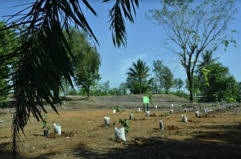 Sentra Industri Bukit Asam (SIBA) Perikanan Sepupu Jaya