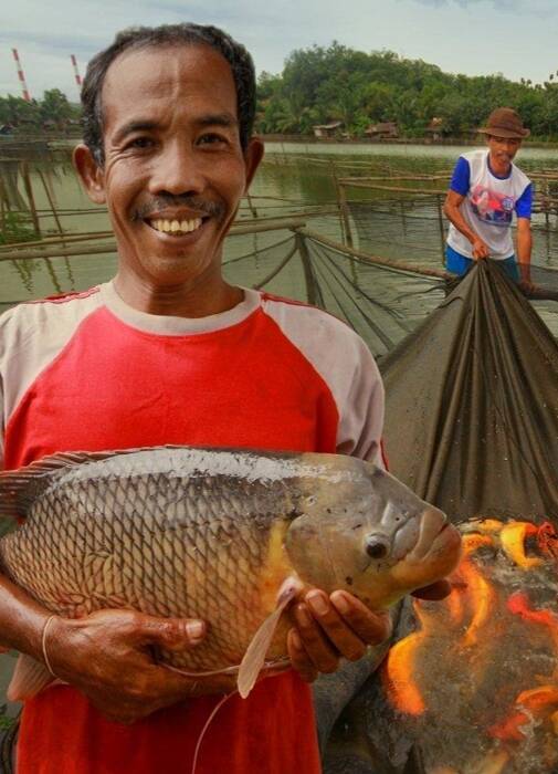 Sentra Industri Bukit Asam (SIBA) Perikanan Sepupu Jaya
